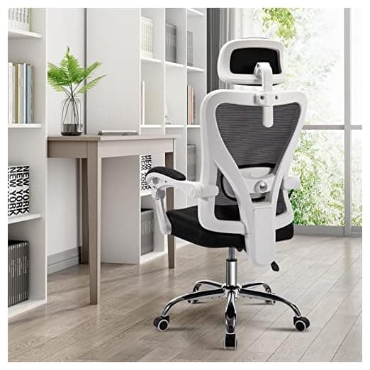 ACCHAR Ergonomic Office Chair